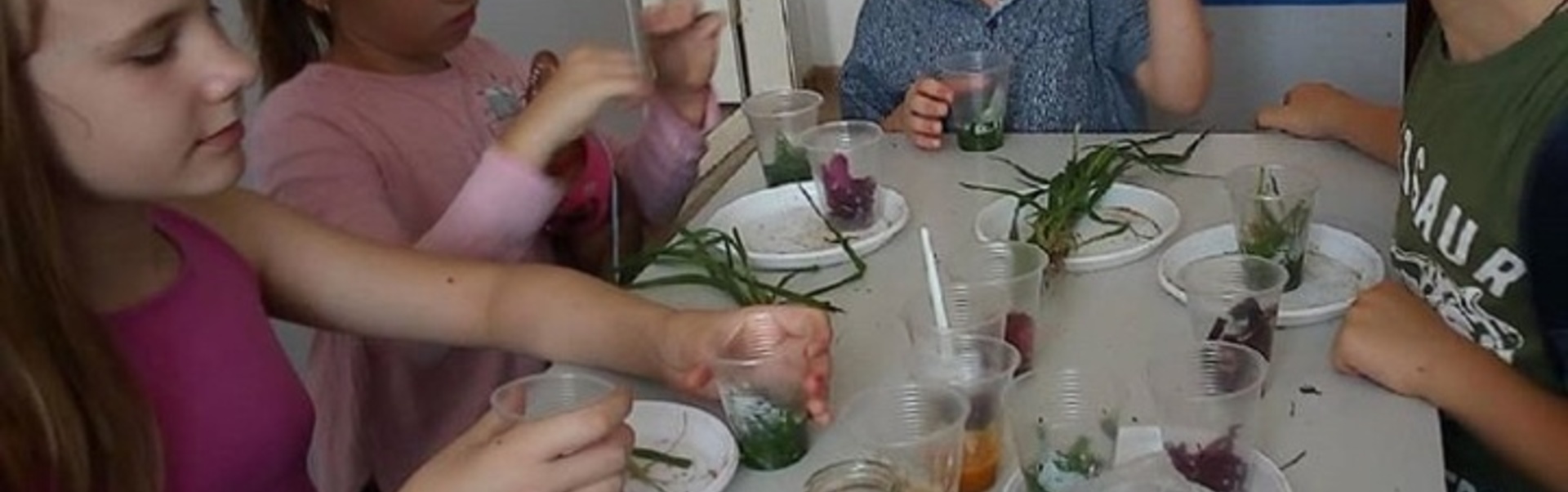 Науковий клуб 
